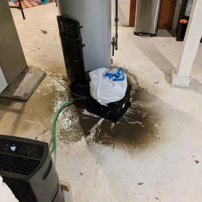 Sewage Backup Cleanup Service in Williamstown, KY
